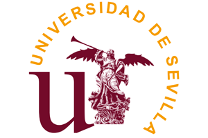 universidad-de-sevilla -see far smart glasses